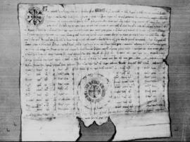 1235 -  Privilegio rodado de Fernando III el Santo por el que concede a Pedro González, maestre d...